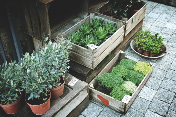 10 Reasons Your Backyard Needs A Stone Path