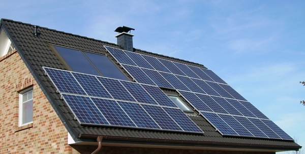How to Get Rid of Pigeons Under Solar Panels