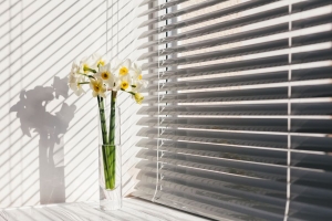 Stay Ahead of the Curve: Must-Know Window Treatment Trends for 2024
