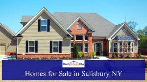 Homes for Sale in Salisbury NY