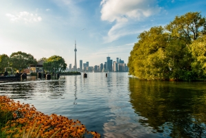 The Best Toronto Neighborhoods to Live in 2022
