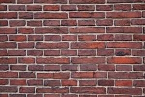 Top 5 Best Types of Wallpapers