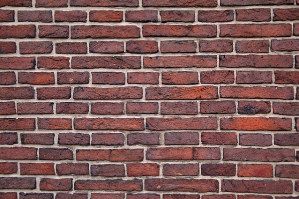 Top 5 Best Types of Wallpapers