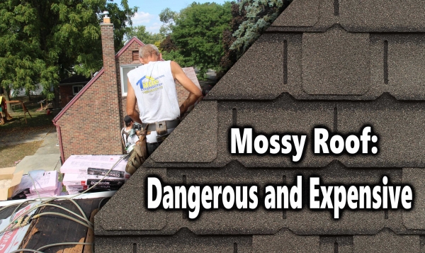 Mossy Roof: Dangerous and Expensive