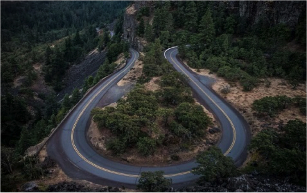 The Lion Cometh – Get Ahead of the Curve