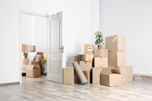 6 Points To Keep In Mind During An Inter-Country Move