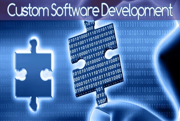 Advantages of custom software development for your company