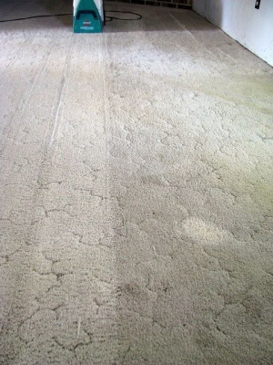 Carpet2