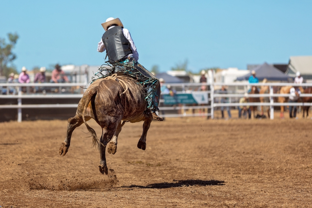 Riding The Bull