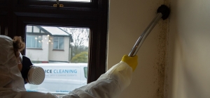 The Interplay Between Ventilation and Mould Prevention