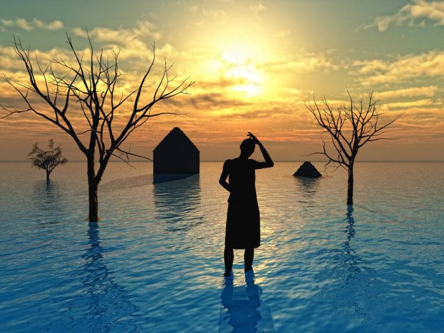 Are You Prepared for a Disaster? Expert Coni Meyers Shares What You Need to Know and Do!