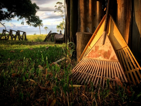 Taking Care of New House: Top Helpful Tools for Yard