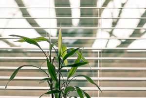 Different Types of Outdoor Blinds – A Buyers’ Guide