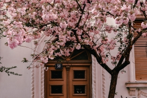 What Might the Spring Housing Market Bring?