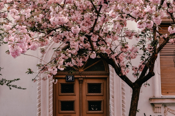 What Might the Spring Housing Market Bring?