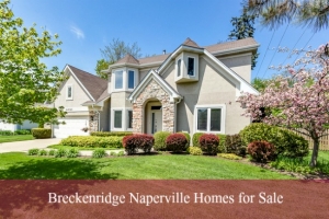 Breckenridge Naperville Homes for Sale