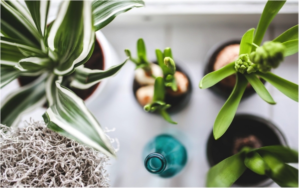 Six Ways to Make Yourself Happier at Home