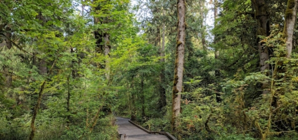 Everything You Need to Know About Moving to Beaverton, Oregon