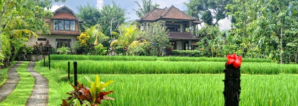 Does Having A Rice Garden Affect The Monetary Value Of Your House When You Sell It?