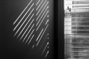 Durable Blinds