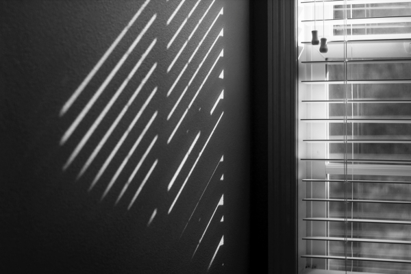 Durable Blinds