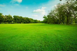 3 Tips To Sell Land Quickly