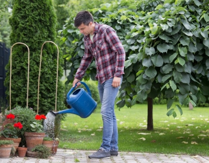 What’s Homesteading?