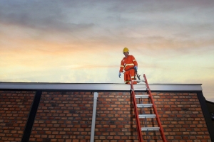 Comparing Custom Roofing Options: Metal, Asphalt, Slate, and More