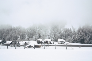 Photo by Nicole Kühn on Unsplash