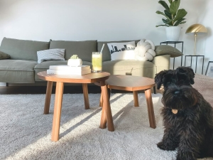 5 Tips for Maintaining Your Carpet in Top Condition