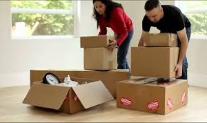 Office removals