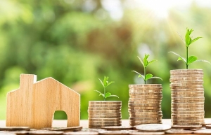 How can rental property loans help investors expand their portfolios?