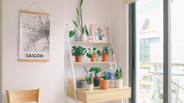 Home Renovation