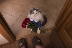 Interior Design Changes to Make Your Husband Love You Again