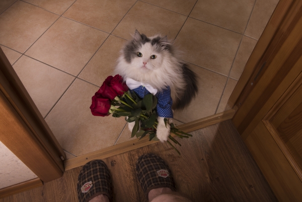 Interior Design Changes to Make Your Husband Love You Again