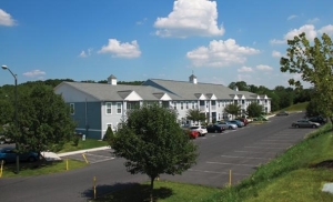 Central PA Pet Paradise: Finding the Best Apartments for Renters