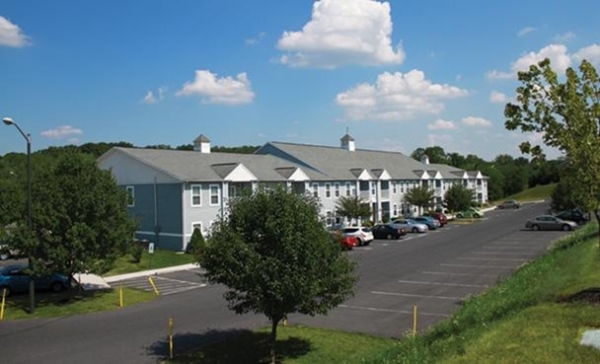 Central PA Pet Paradise: Finding the Best Apartments for Renters