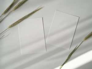 3 Benefits of Using a Real Estate Postcard To Boost Your Business Visibility!