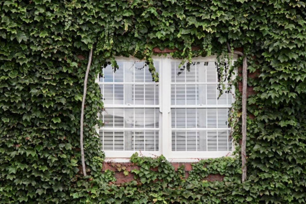 From Modern to Traditional: Styling Your Plantation Shutters to Match Your Home Decor