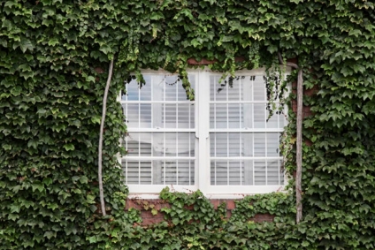 From Modern to Traditional: Styling Your Plantation Shutters to Match Your Home Decor