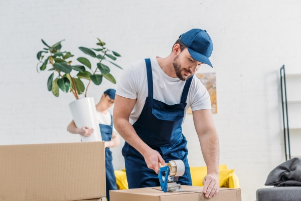 How to Find a Reliable Mover Near You