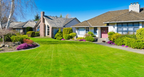 The Right Methods to Have a Lush green lawn In Your House