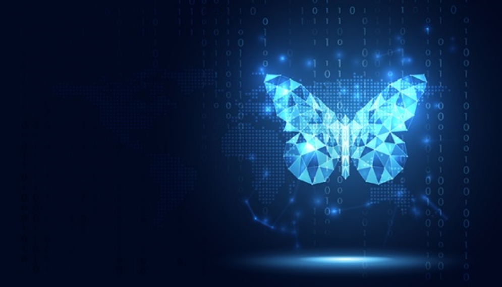 Crafting a Future-Proof Organization: The Power of Transformation Over Change