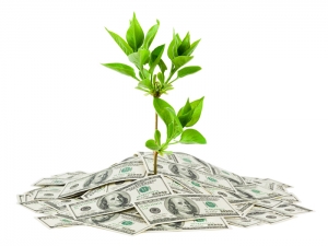 Grow your money
