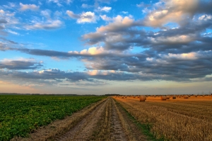 Private Money Agricultural Land Loans for California Properties