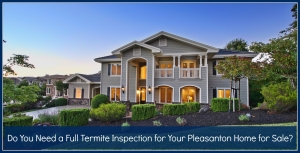 Do You Need a Full Termite Inspection for Your Pleasanton Home for Sale?