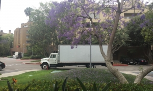 How To Find the Best Cheap Movers Company