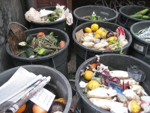 The Values of a Low-Waste Home