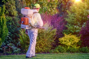 Top 13 Signs You May Need To Call A Pest Expert For Your Home