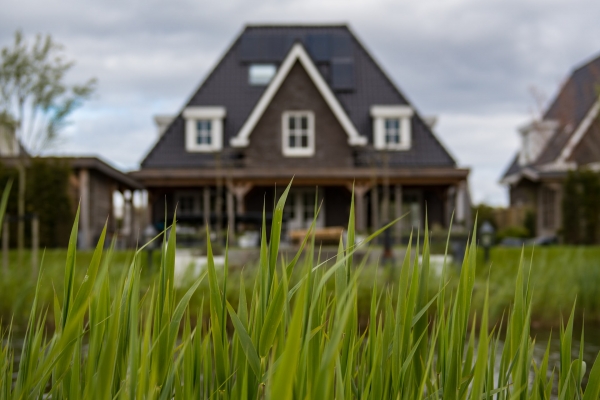A Short and Succinct Guide to Boosting Your Curb Appeal